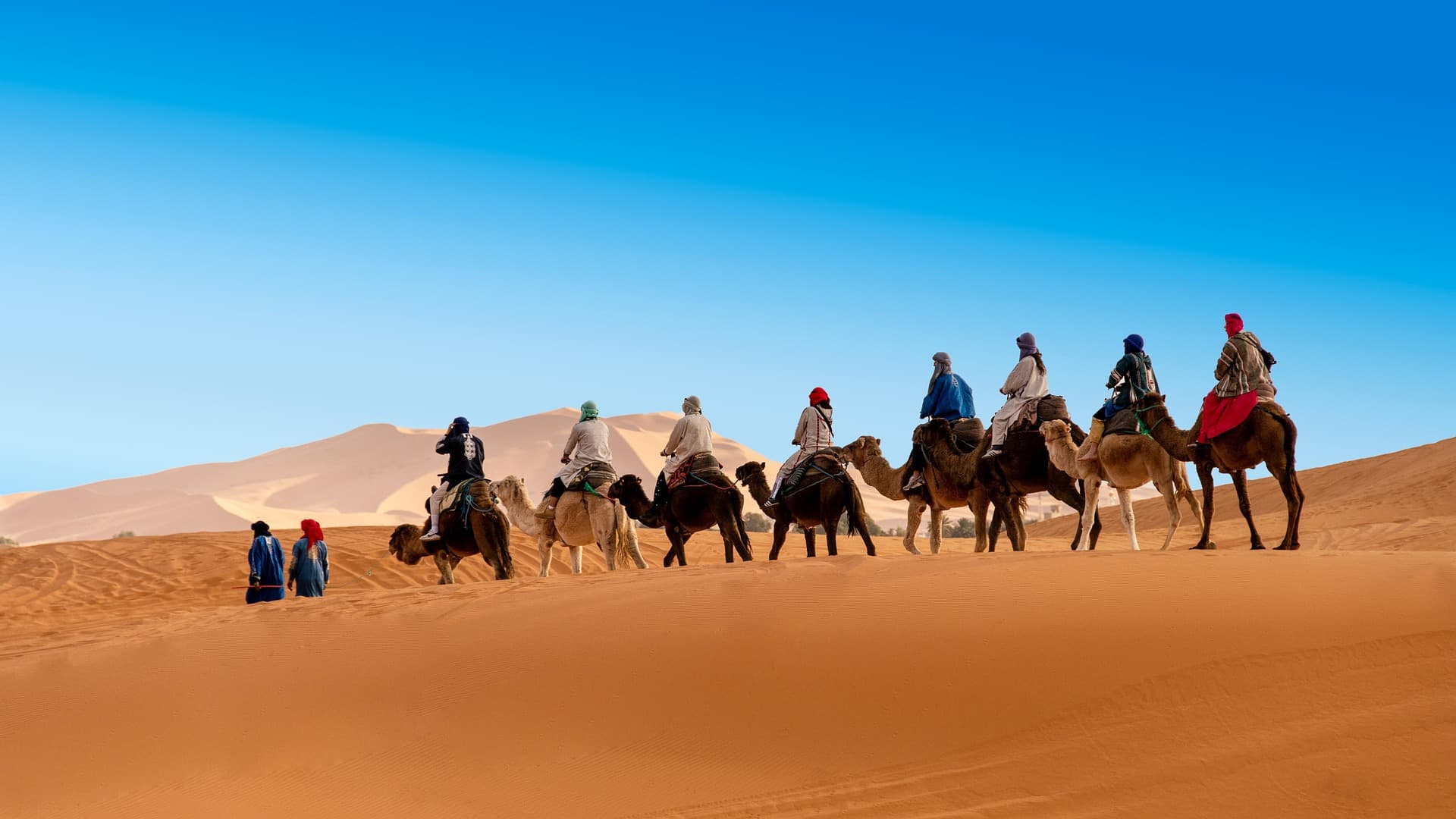 Golden dunes in the Moroccan Sahara