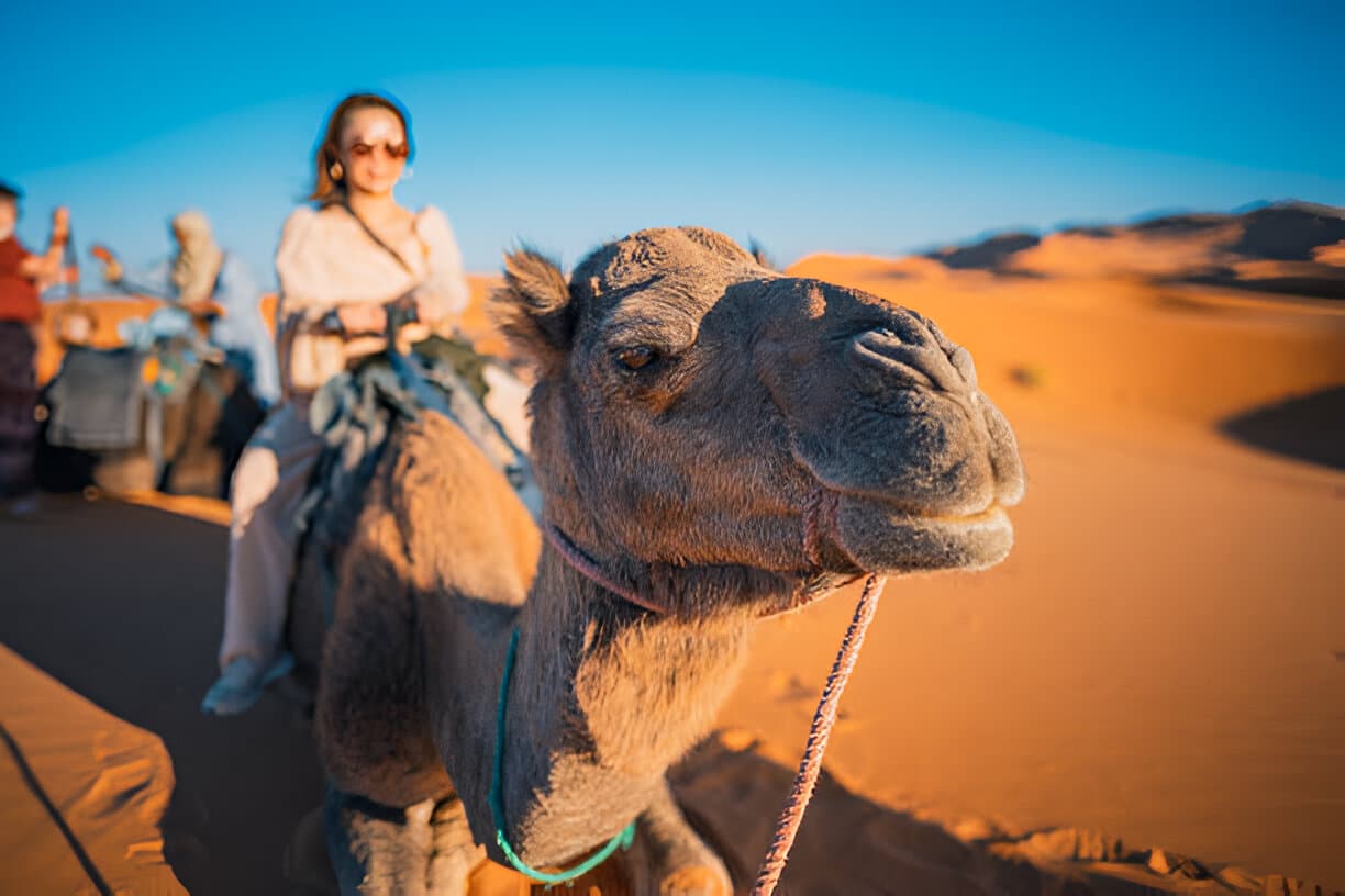 Marrakech to Merzouga — 3 Days, Morocco tour