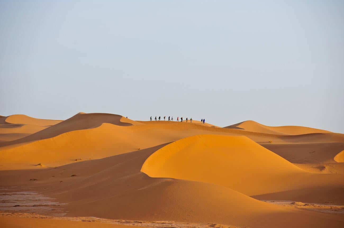 Golden sand dunes in the Erg Chigaga desert, Morocco