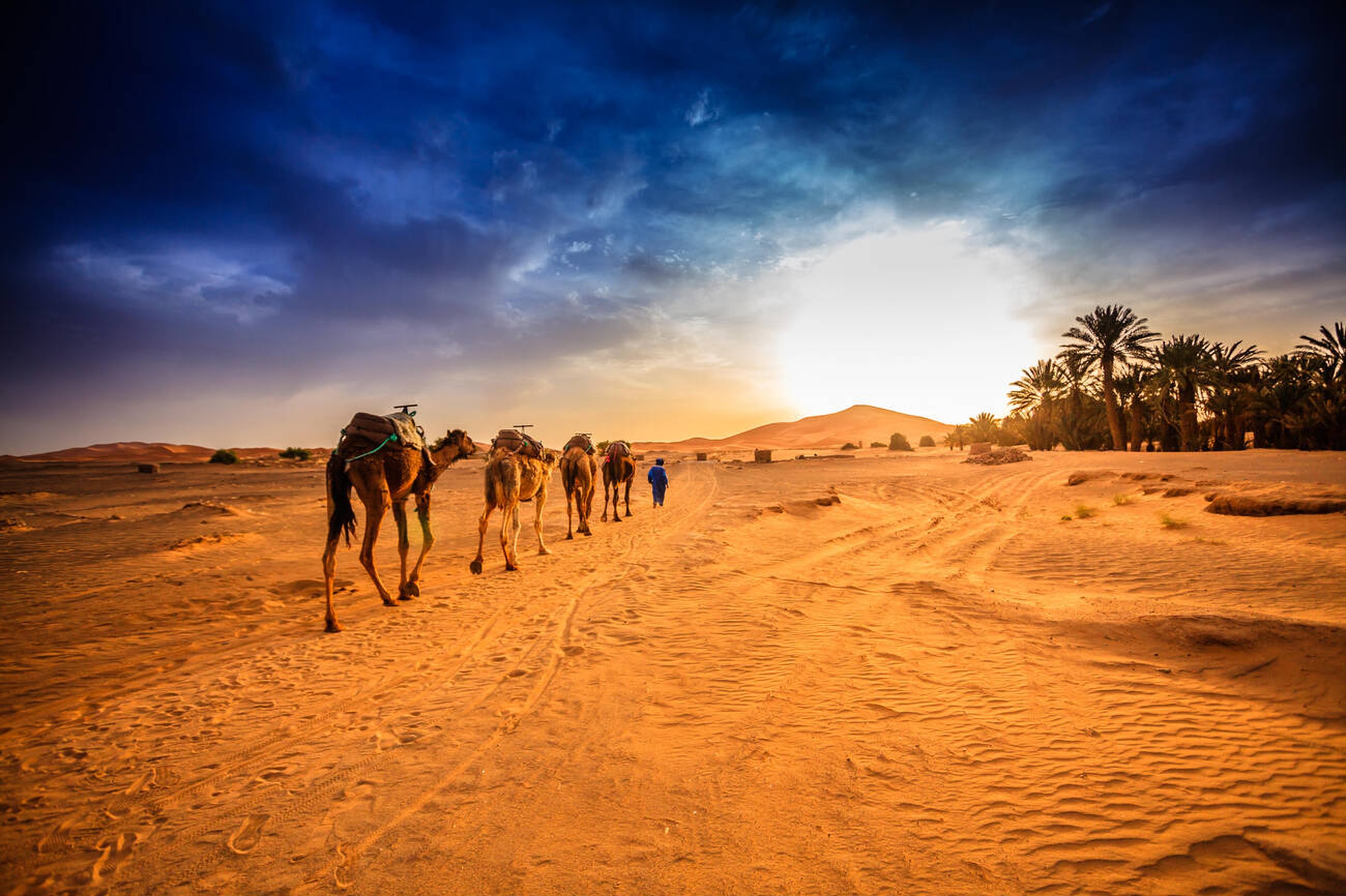 Customized tour in Morocco