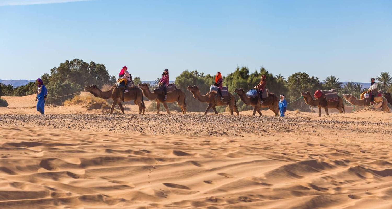 6 Days Camel Trekking from Marrakech to M'hamid & Erg Zaher Desert