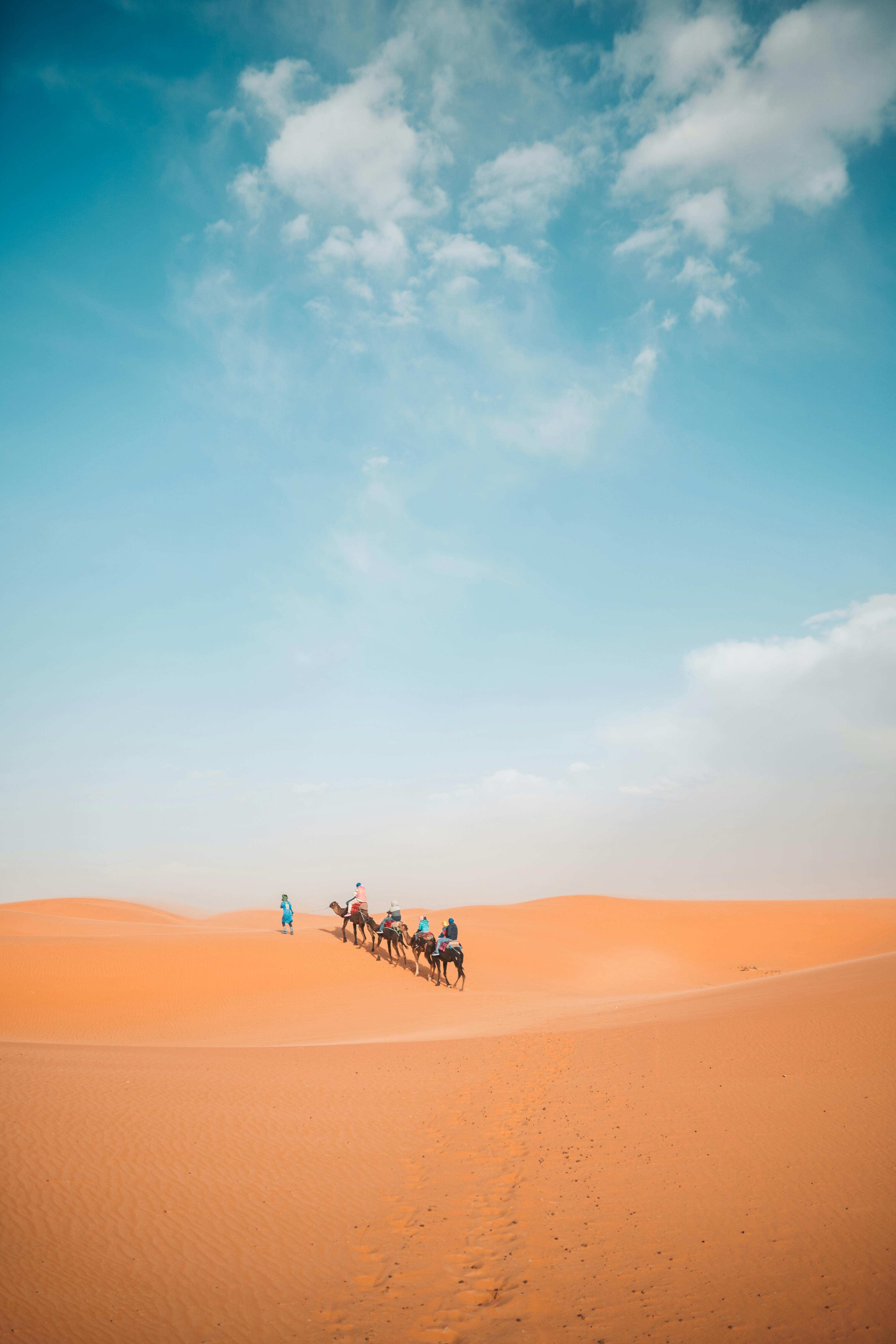camel trekking