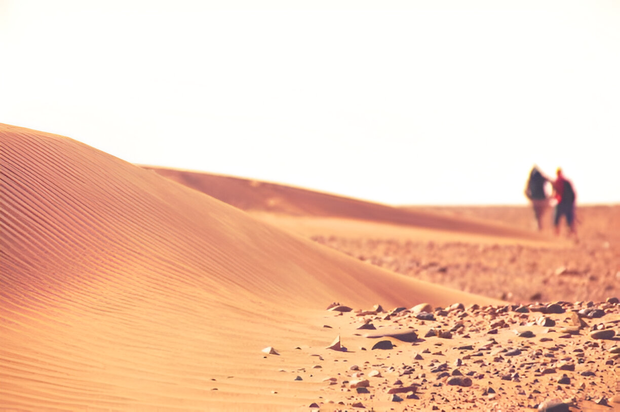 Camel trekking in the Sahara