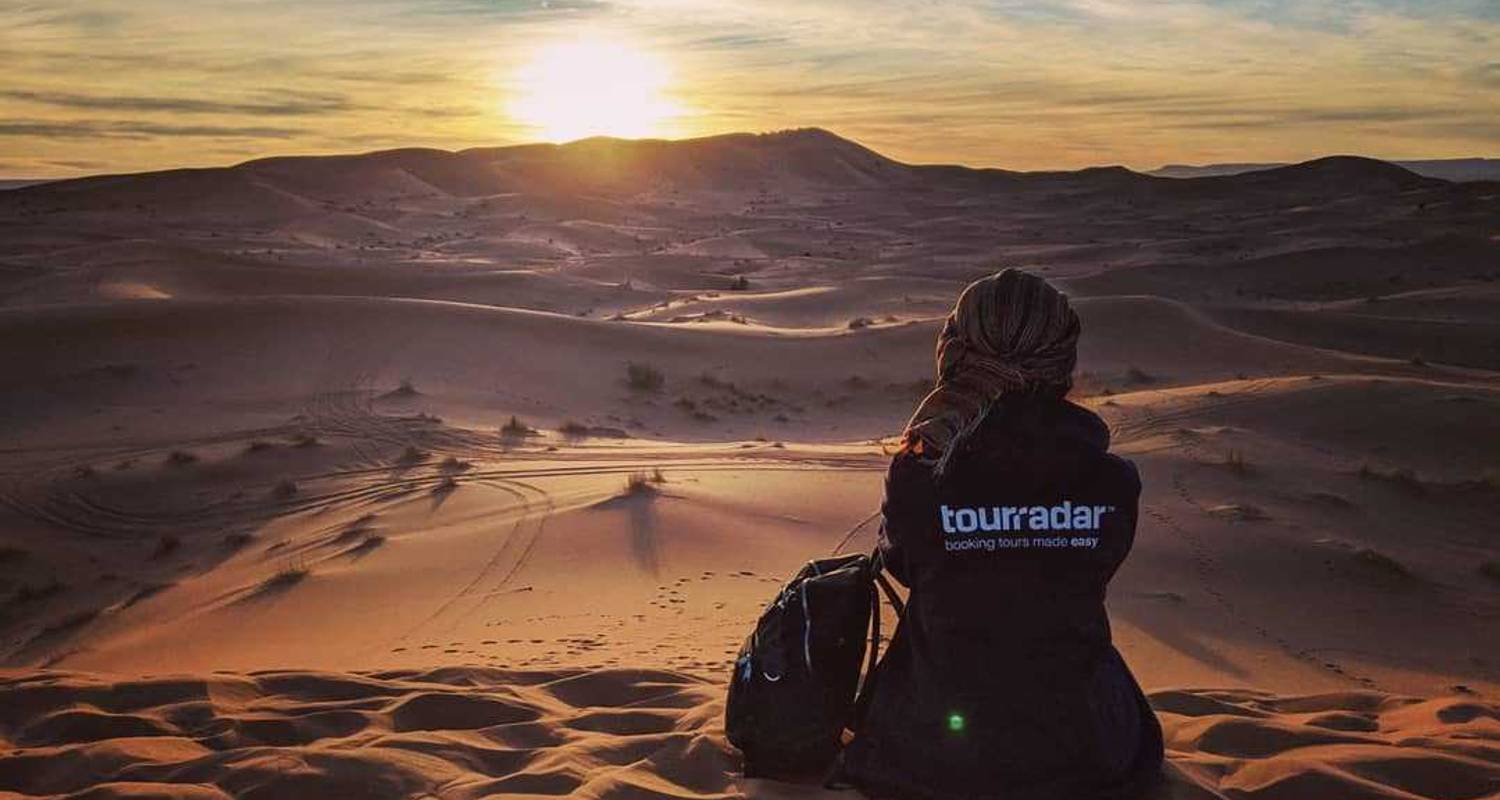 Camel trekking in the Sahara