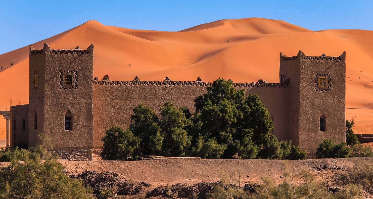 Camel trekking in the Sahara